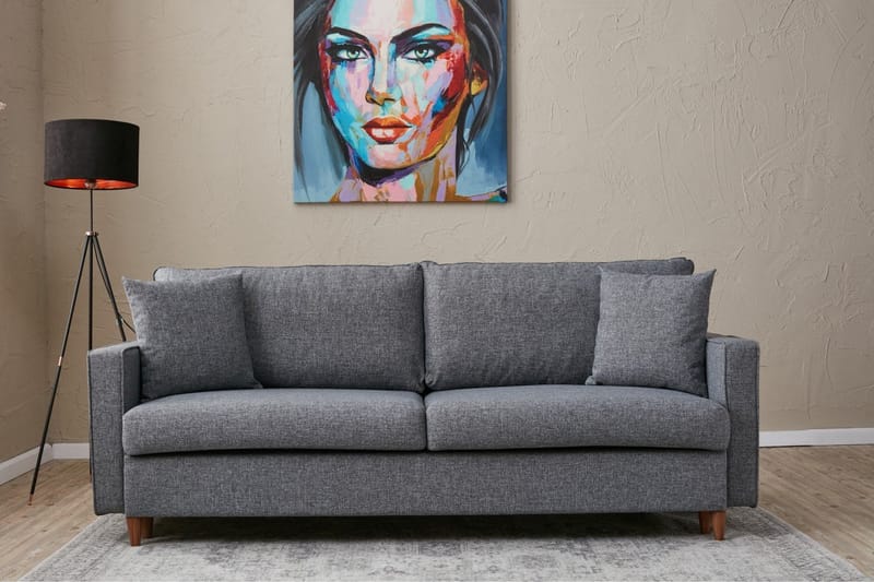 Braneles Sovesofa 3-seter - Grå - Møbler - Sofaer - Sovesofaer