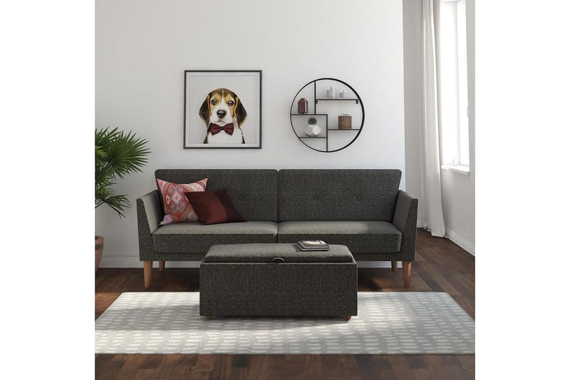 Regal 2-seters Sovesofa Mørkegrå - Novogratz - Møbler - Sofaer - Sovesofaer