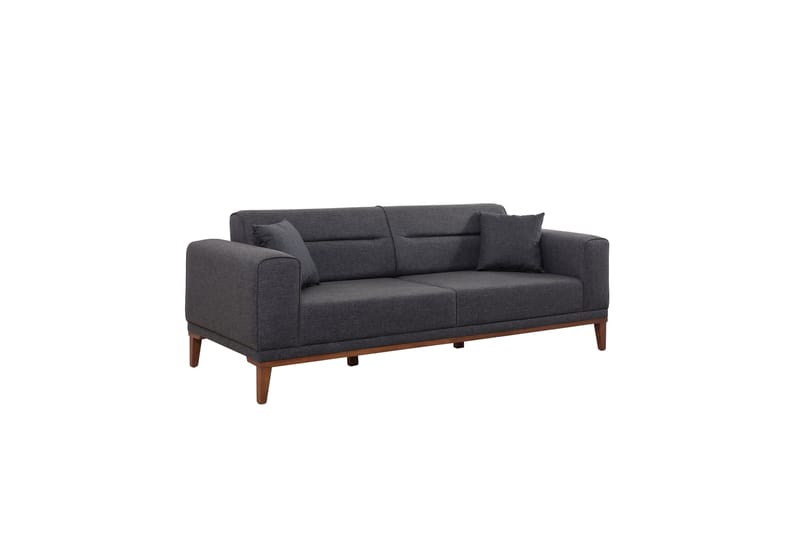 Wyong Sovesofa 3-seters 223x94 cm - Antrasitt - Møbler - Sofaer - Sovesofaer