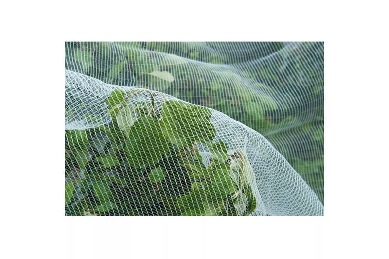 Natur Anti-insektsnett mot eplevikler-møll 6030450 - Barstoler