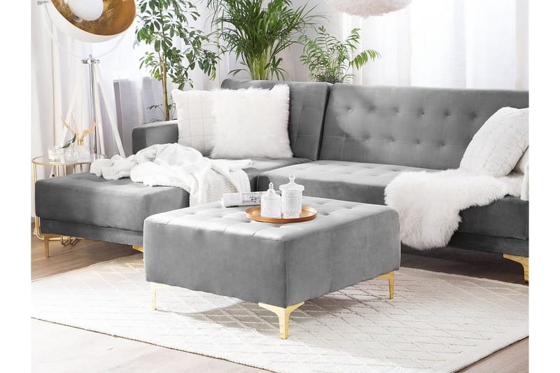 Aberdeen Fotskammel, Gull