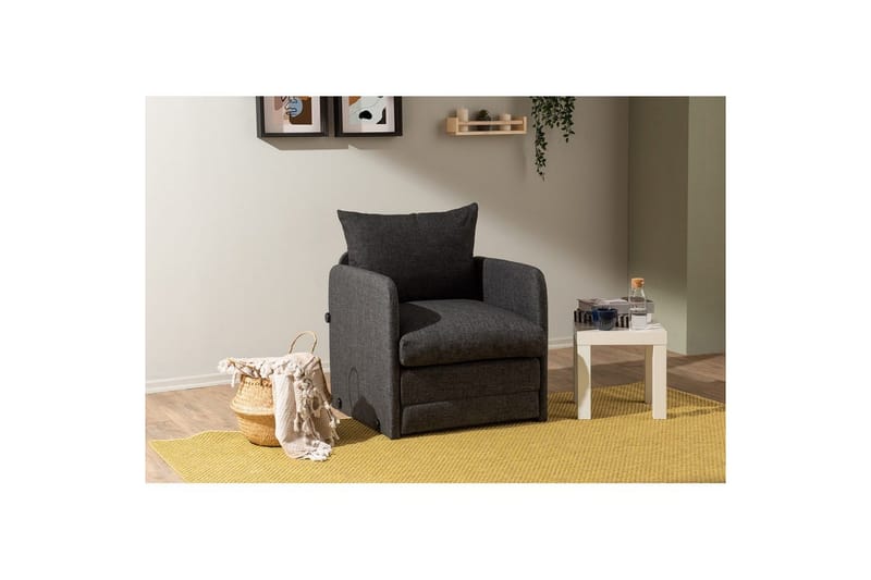 1-seters Sovesofa Rubby Mørk grå - Mørk grå - Møbler - Stoler & lenestoler - Lenestoler - Sovestol