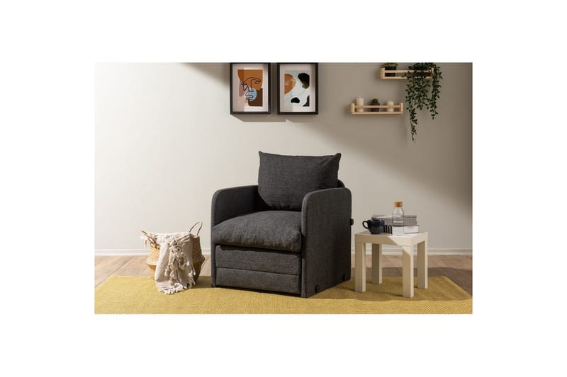 1-seters Sovesofa Rubby Mørk grå - Mørk grå - Møbler - Stoler & lenestoler - Lenestoler - Sovestol