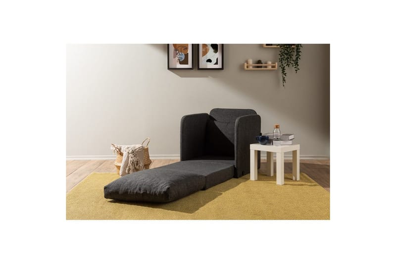 1-seters Sovesofa Rubby Mørk grå - Mørk grå - Møbler - Stoler & lenestoler - Lenestoler - Sovestol