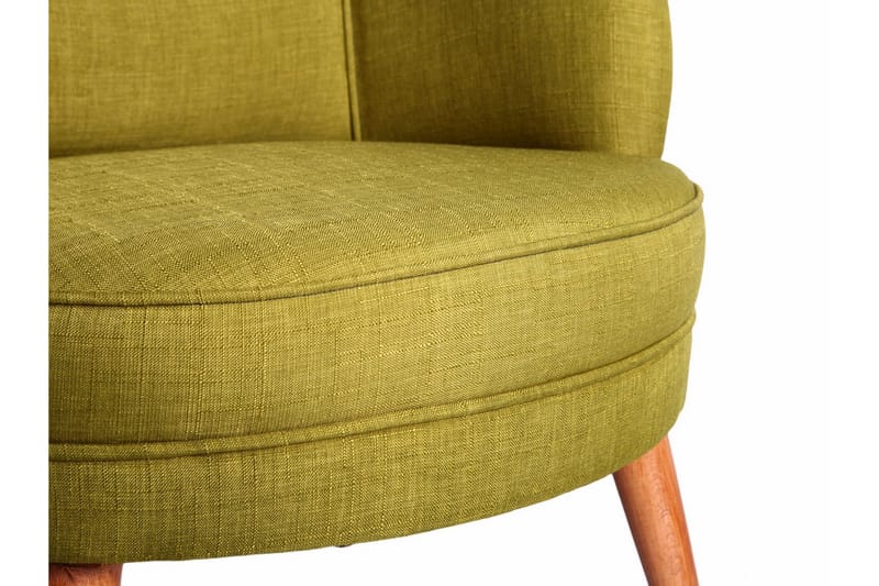 Brandn Lenestol med Armlene - Grønn - Møbler - Stoler & lenestoler - Lenestoler