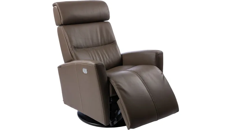 Reclinerlenestol Bulgarsk, Brun