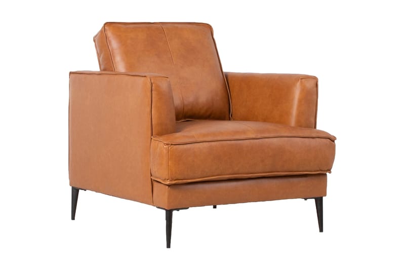 Leo Lenestol Lysebrun, undefined