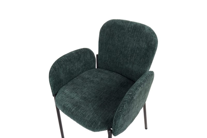 Sett med 2 spisestoler Albee - Grønn, svart - Møbler - Stoler & lenestoler - Spisestuestoler & kjøkkenstoler