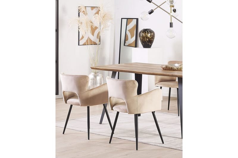 Sett med 2 spisestuestoler Sanilac - Beige, svart, taupe - Møbler - Stoler & lenestoler - Spisestuestoler & kjøkkenstoler