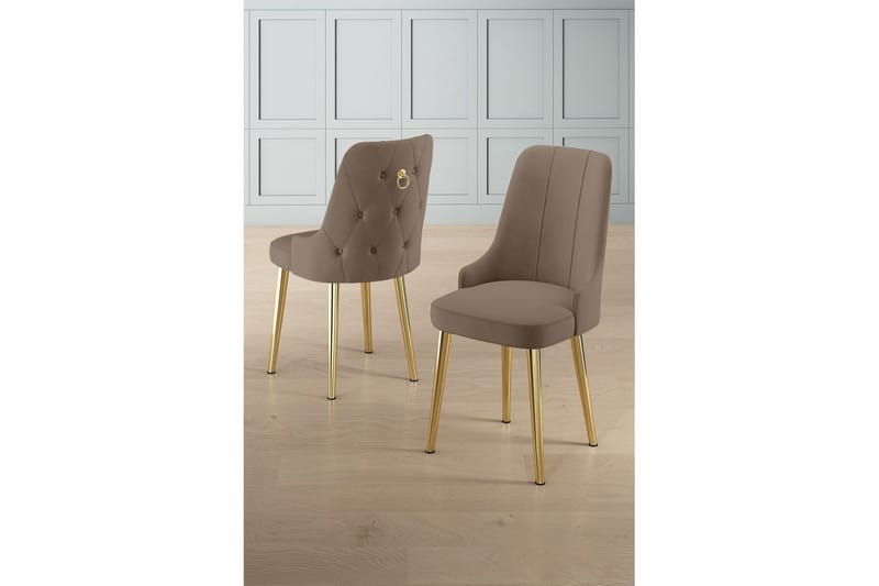Spisestol Jebi Cappuccino / Gull - Cappuccino / Gull - Møbler - Stoler & lenestoler - Spisestuestoler & kjøkkenstoler