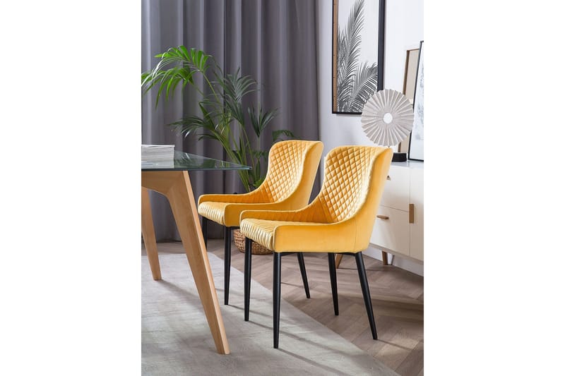 Colino Stol 2-pk Fløyel - Gul - Møbler - Stoler & lenestoler - Spisestuestoler & kjøkkenstoler