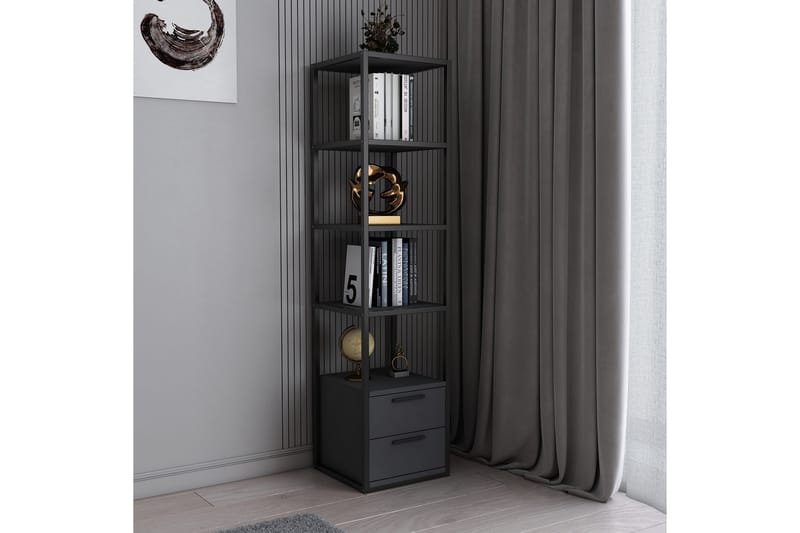 Desgrar Bokhylle 39x160 cm - Svart - Oppbevaring - Hyller - Bokhylle