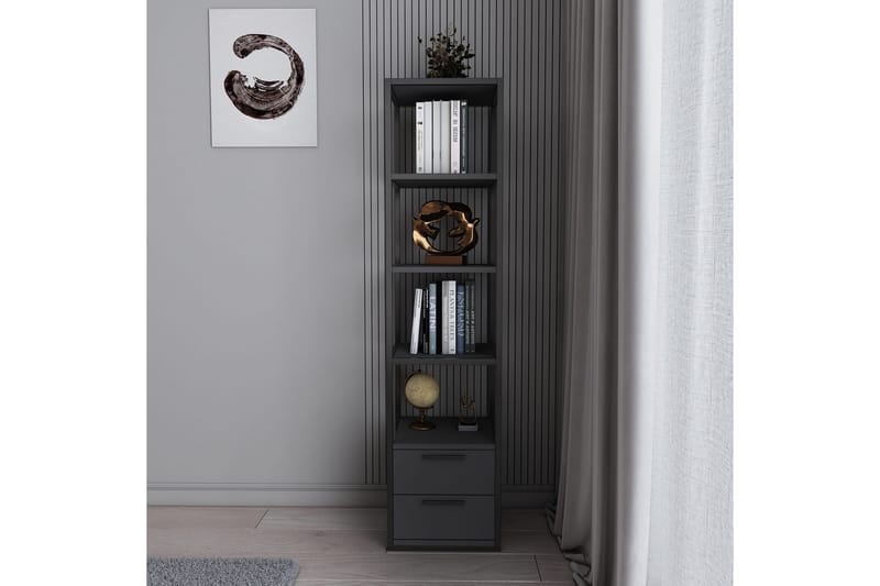Desgrar Bokhylle 39x160 cm - Svart - Oppbevaring - Hyller - Bokhylle