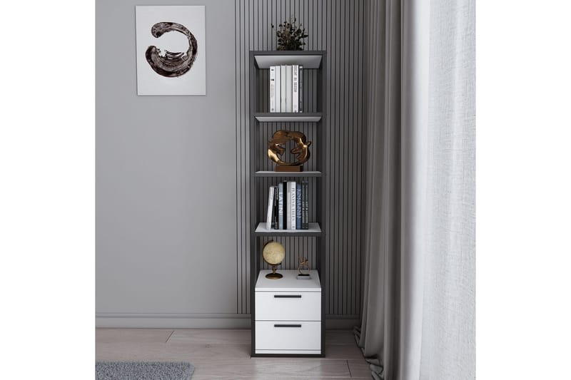 Desgrar Bokhylle 39x160 cm - Svart - Oppbevaring - Hyller - Bokhylle