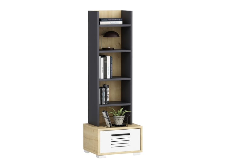 Rinorea Bokhylle 35x152,2 cm - Blå - Oppbevaring - Hyller - Bokhylle