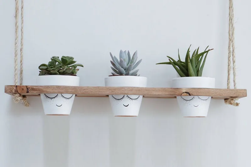 Evila Tauhylle til Krukker, undefined