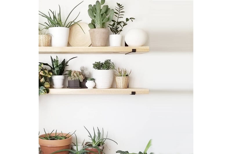 Wayte Vegghylle 60 cm - Svart / Eik - Oppbevaring - Hyller - Vegghylle