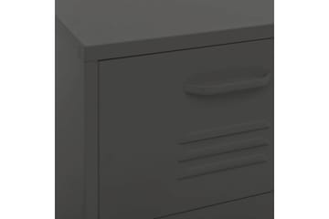 Oppbevaringsskap antrasitt 42,5x35x101,5 cm stål - Antrasittgrå - Oppbevaring - Skap - Oppbevaringsskap - Omkledningsskap