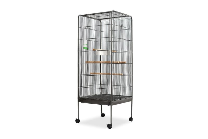 Fuglebur svart 54x54x146 cm stål - Sport & fritid - Til dyrene - Fugl - Fuglebur & voliere