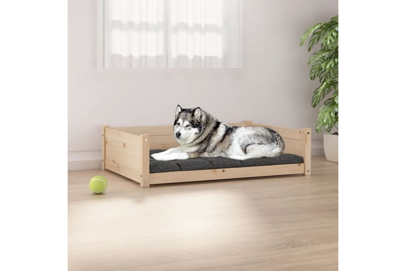 beBasic Hundeseng 105,5x75,5x28 cm heltre furu - Brun - Hundekurv & hundeseng - Hundemøbler