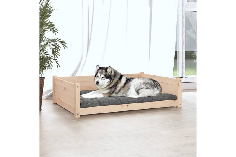 beBasic Hundeseng 105,5x75,5x28 cm heltre furu - Brun - Hundekurv & hundeseng - Hundemøbler