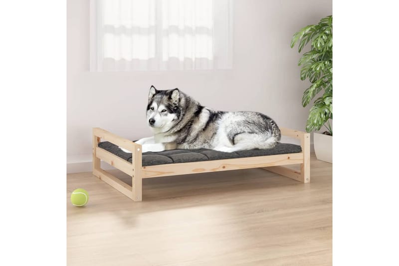 beBasic Hundeseng 105,5x75,5x28 cm heltre furu - Brun - Hundekurv & hundeseng - Hundemøbler