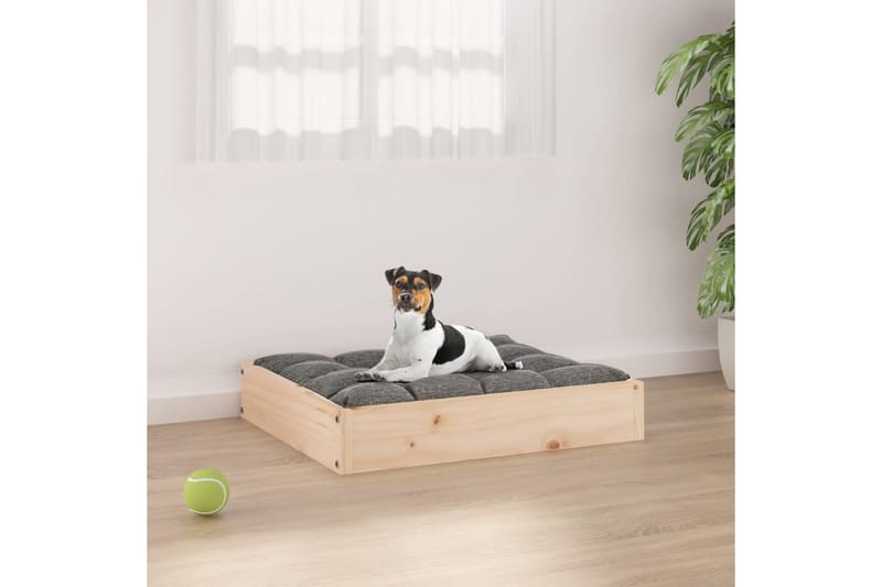 beBasic Hundeseng 51,5x44x9 cm heltre furu - Brun - Sport & fritid - Til dyrene - For hund - Hundemøbler - Hundekurv & hundeseng