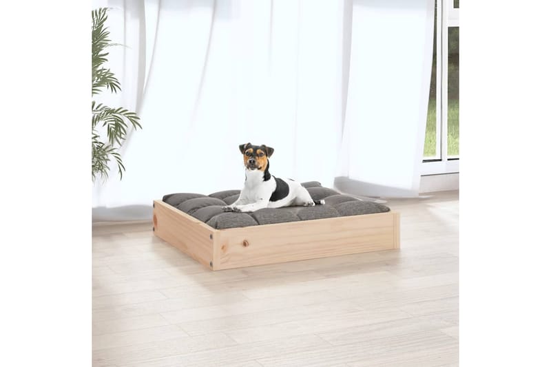beBasic Hundeseng 51,5x44x9 cm heltre furu - Brun - Sport & fritid - Til dyrene - For hund - Hundemøbler - Hundekurv & hundeseng