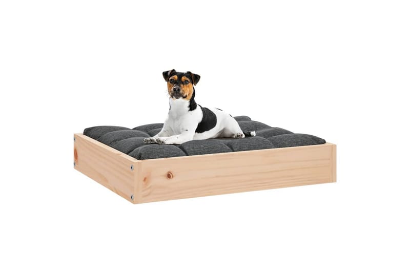 beBasic Hundeseng 51,5x44x9 cm heltre furu - Brun - Sport & fritid - Til dyrene - For hund - Hundemøbler - Hundekurv & hundeseng