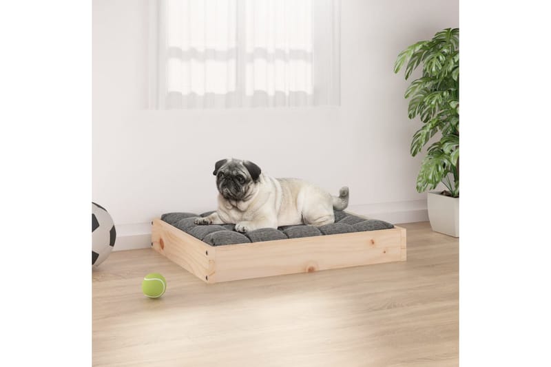 beBasic Hundeseng 61,5x49x9 cm heltre furu - Brun - Hundemøbler - Hundekurv & hundeseng