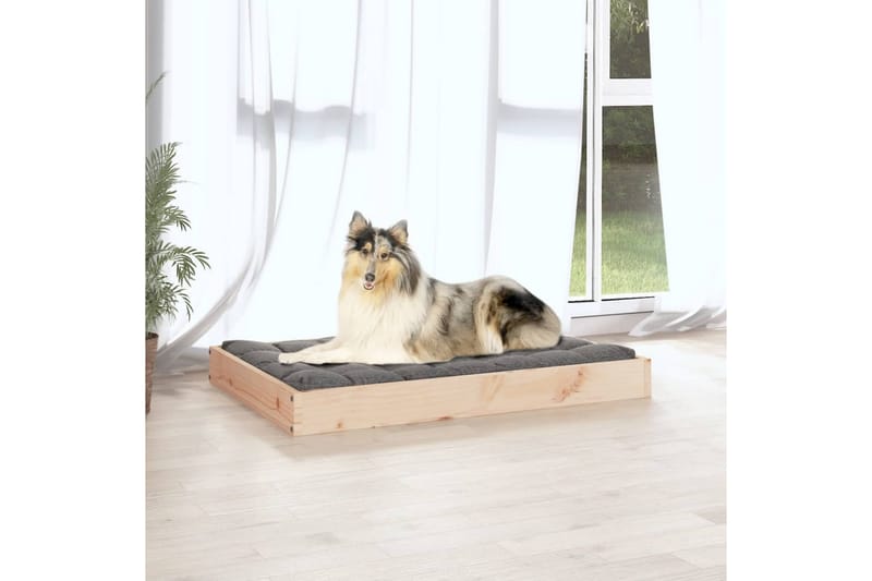 beBasic Hundeseng 91,5x64x9 cm heltre furu - Brun - Sport & fritid - Til dyrene - For hund - Hundemøbler - Hundekurv & hundeseng