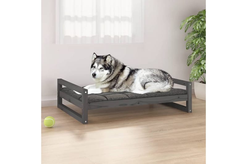beBasic Hundeseng grå 105,5x75,5x28 cm heltre furu - GrÃ¥ - Hundekurv & hundeseng - Hundemøbler