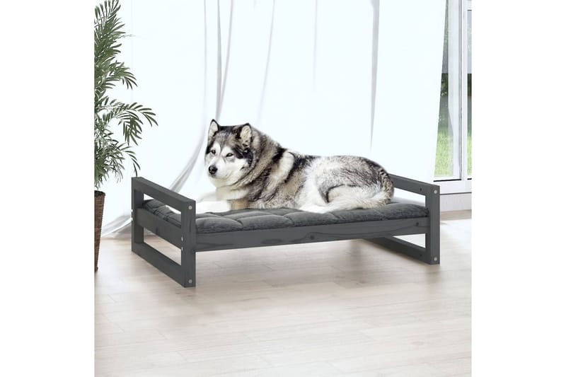 beBasic Hundeseng grå 105,5x75,5x28 cm heltre furu - GrÃ¥ - Hundemøbler - Hundekurv & hundeseng