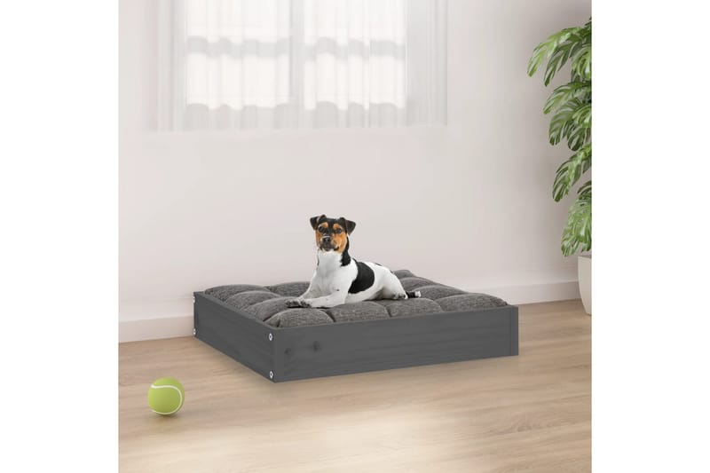 beBasic Hundeseng grå 51,5x44x9 cm heltre furu - GrÃ¥ - Sport & fritid - Til dyrene - For hund - Hundemøbler - Hundekurv & hundeseng