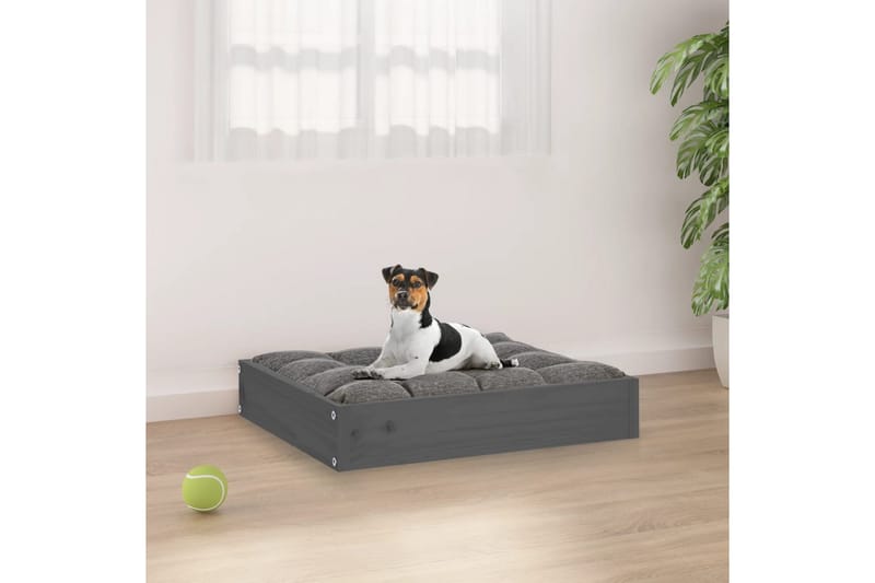 beBasic Hundeseng grå 51,5x44x9 cm heltre furu - GrÃ¥ - Hundekurv & hundeseng - Hundemøbler