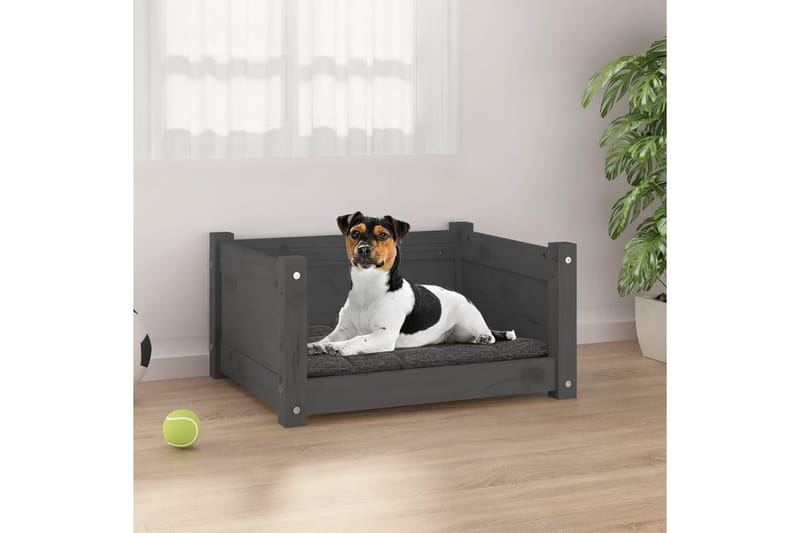 beBasic Hundeseng grå 55,5x45,5x28 cm heltre furu - GrÃ¥ - Hundemøbler - Hundekurv & hundeseng