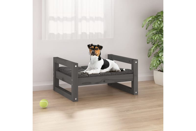 beBasic Hundeseng grå 55,5x45,5x28 cm heltre furu - GrÃ¥ - Hundekurv & hundeseng - Hundemøbler