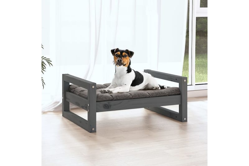 beBasic Hundeseng grå 55,5x45,5x28 cm heltre furu - GrÃ¥ - Hundekurv & hundeseng - Hundemøbler
