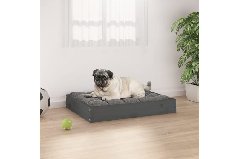 beBasic Hundeseng grå 61,5x49x9 cm heltre furu - GrÃ¥ - Hundemøbler - Hundekurv & hundeseng