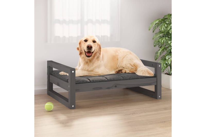 beBasic Hundeseng grå 75,5x55,5x28 cm heltre furu - GrÃ¥ - Hundemøbler - Hundekurv & hundeseng