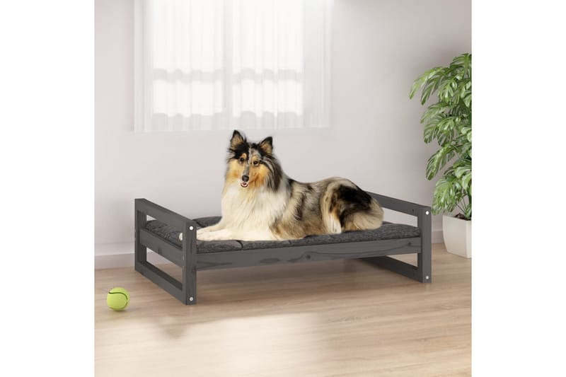 beBasic Hundeseng grå 95,5x65,5x28 cm heltre furu - GrÃ¥ - Hundekurv & hundeseng - Hundemøbler