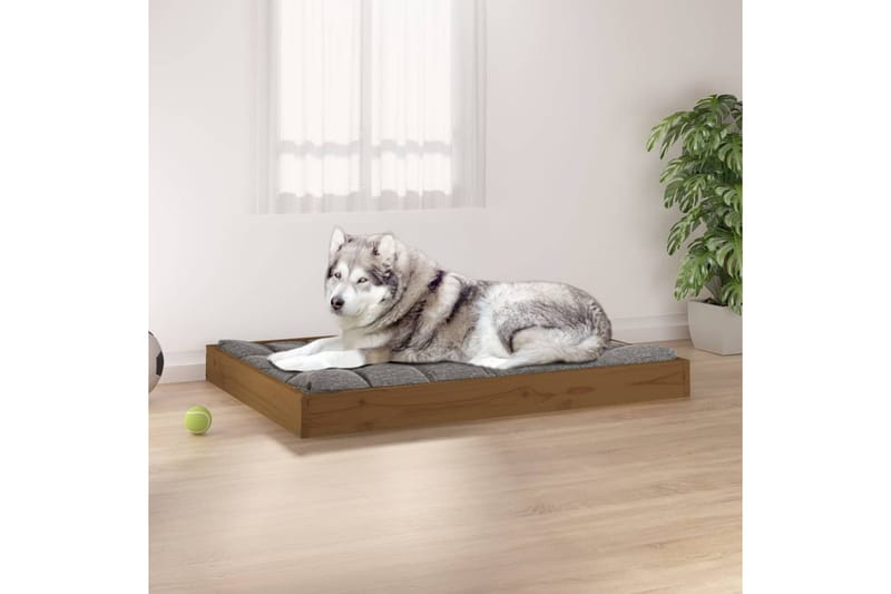 beBasic Hundeseng honningbrun 101,5x74x9 cm heltre furu - Brun - Hundemøbler - Hundekurv & hundeseng