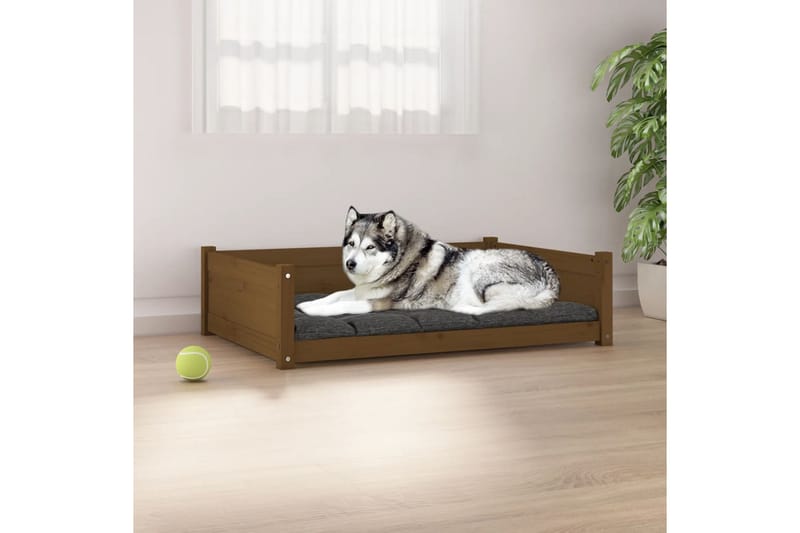beBasic Hundeseng honningbrun 105,5x75,5x28 cm heltre furu - Brun - Hundekurv & hundeseng - Hundemøbler