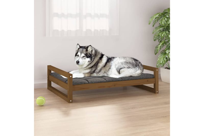 beBasic Hundeseng honningbrun 105,5x75,5x28 cm heltre furu - Brun - Sport & fritid - Til dyrene - For hund - Hundemøbler - Hundekurv & hundeseng