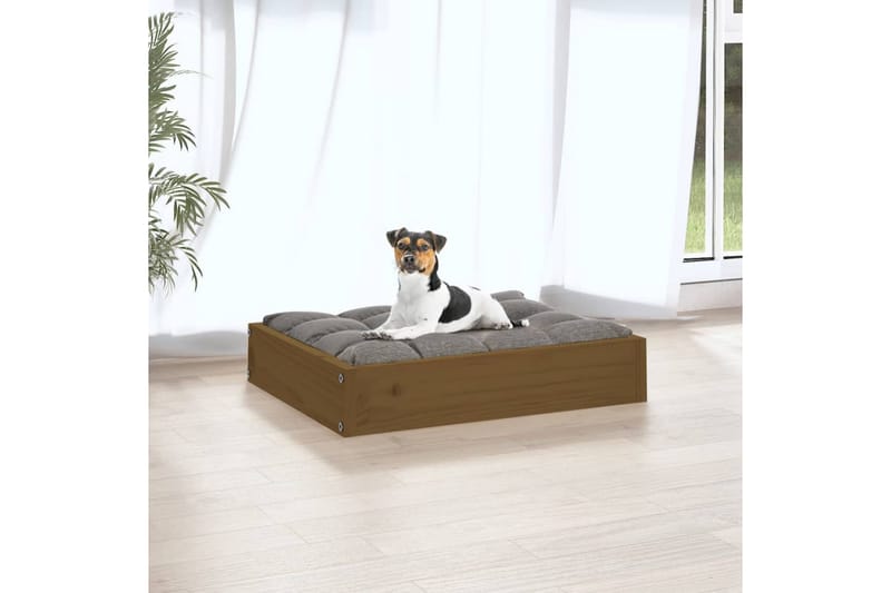 beBasic Hundeseng honningbrun 51,5x44x9 cm heltre furu - Brun - Hundemøbler - Hundekurv & hundeseng