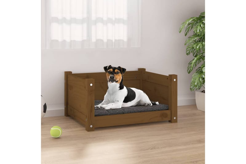 beBasic Hundeseng honningbrun 55,5x45,5x28 cm heltre furu - Brun - Sport & fritid - Til dyrene - For hund - Hundemøbler - Hundekurv & hundeseng
