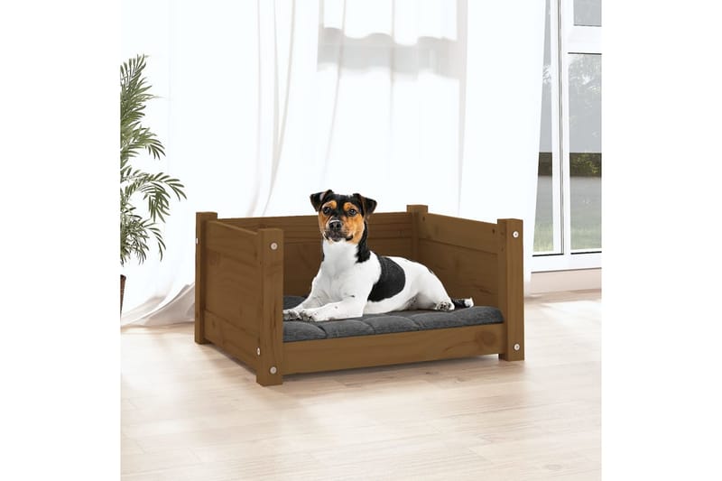 beBasic Hundeseng honningbrun 55,5x45,5x28 cm heltre furu - Brun - Hundekurv & hundeseng - Hundemøbler