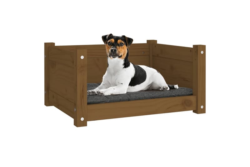 beBasic Hundeseng honningbrun 55,5x45,5x28 cm heltre furu - Brun - Hundekurv & hundeseng - Hundemøbler