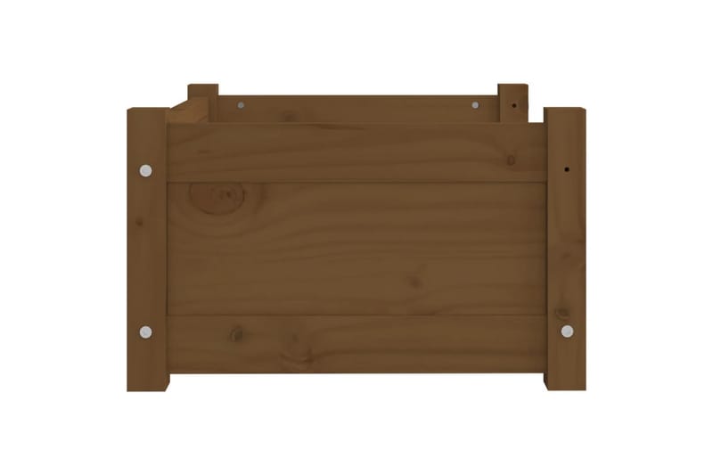 beBasic Hundeseng honningbrun 55,5x45,5x28 cm heltre furu - Brun - Sport & fritid - Til dyrene - For hund - Hundemøbler - Hundekurv & hundeseng