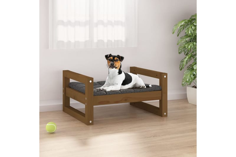 beBasic Hundeseng honningbrun 55,5x45,5x28 cm heltre furu - Brun - Sport & fritid - Til dyrene - For hund - Hundemøbler - Hundekurv & hundeseng
